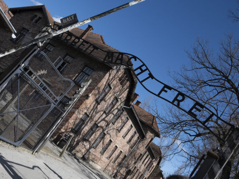 Lire la suite à propos de l’article Auschwitz